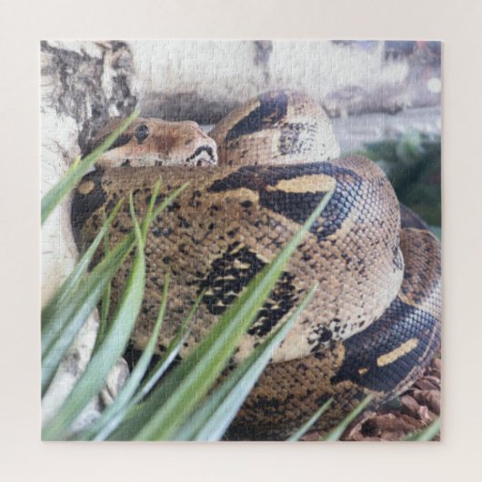 Puzzle Casse-tête Sssnooze (Vertical)