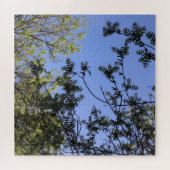 Puzzle Casse-tête Toile de Confusion (Horizontal)