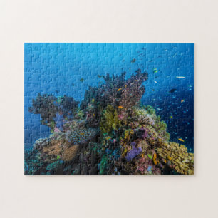 Puzzle Casse-tête tropicale de poissons de mer de corail