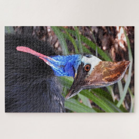 Puzzle Cassowary du Sud (Horizontal)