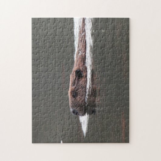 Puzzle Castor américain (Vertical)