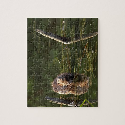 Puzzle Castor de sourire (Vertical)