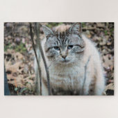 Puzzle Cat (Horizontal)