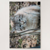 Puzzle Cat (Vertical)
