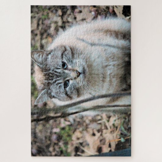 Puzzle Cat (Vertical)