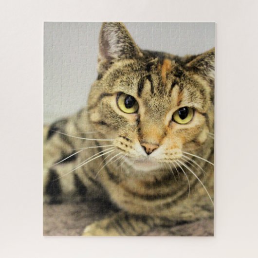 Puzzle Cat (Vertical)
