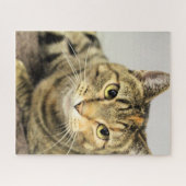 Puzzle Cat (Horizontal)