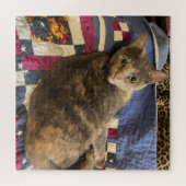 Puzzle Cat (Horizontal)