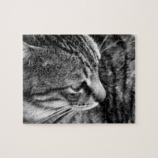 Puzzle Cat (Horizontal)