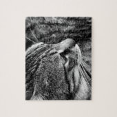 Puzzle Cat (Vertical)