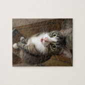 Puzzle Cat (Horizontal)