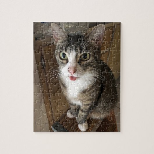Puzzle Cat (Vertical)