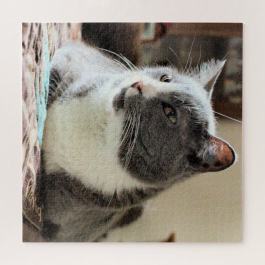 Puzzle Cat (Horizontal)