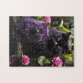 Puzzle Cat (Horizontal)