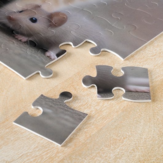Puzzle Cat and Mouse (Côté)
