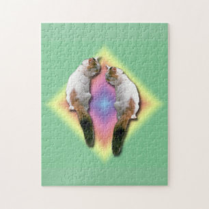 Puzzle - Cat en Rainbow Diamond Legpuzzel