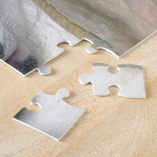 Puzzle Cat Napping (Côté)