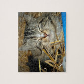 Puzzle Cat Sleeping Kitty Photo (Vertical)