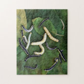 Puzzle Catalpa Worms Catfish Bait Art photographique (Vertical)