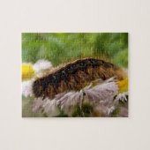 Puzzle Caterpillar (Horizontal)