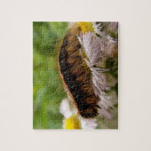 Puzzle Caterpillar (Vertical)