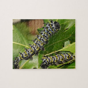 Puzzle Caterpillar