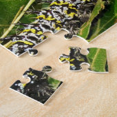 Puzzle Caterpillar (Côté)