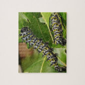 Puzzle Caterpillar (Vertical)