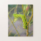 Puzzle Caterpillar Guyana (Vertical)