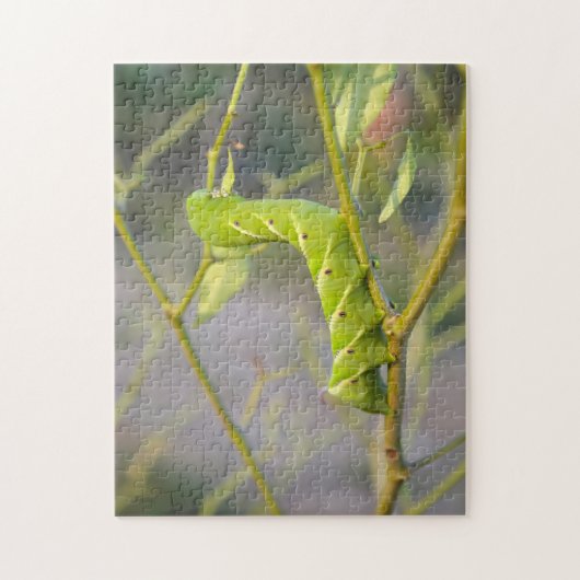 Puzzle Caterpillar Guyana (Vertical)