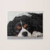 Puzzle Cavalier King Charles Spaniel (Horizontal)