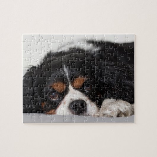 Puzzle Cavalier King Charles Spaniel (Horizontal)