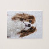 Puzzle Cavalier King Charles Spaniel assis en studio (Horizontal)