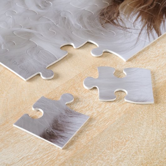 Puzzle Cavalier King Charles Spaniel assis en studio (Côté)