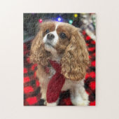 Puzzle Cavaliers King Charles Spaniels Avec Écharpe d'Hiv (Vertical)
