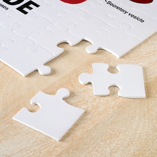 Puzzle Cellule animale à l'intérieur (cellule Eukaryotiqu (Côté)