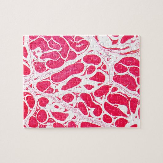 Puzzle Cellules de testicule sous le microscope (Horizontal)