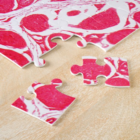 Puzzle Cellules de testicule sous le microscope (Côté)