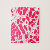 Puzzle Cellules de testicule sous le microscope (Vertical)