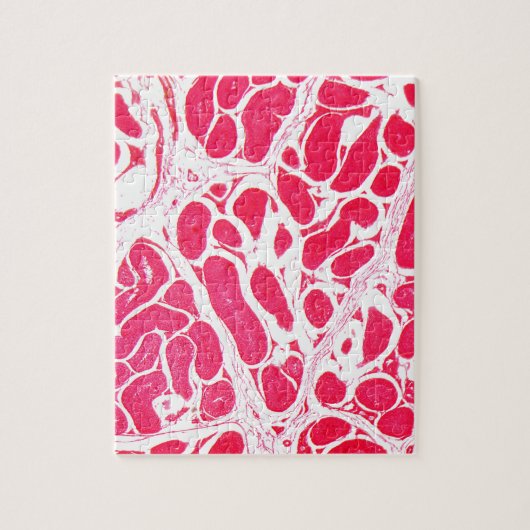 Puzzle Cellules de testicule sous le microscope (Vertical)