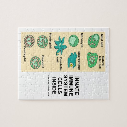 Puzzle Cellules innées de système immunitaire à (Horizontal)