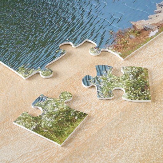 Puzzle Centennial Lake in Ellicott City Maryland (Côté)