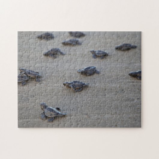 Puzzle Central America, El Salvador, Pacific Ocean (Horizontal)