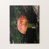 Puzzle Central Cascades, État de Washington (Vertical)