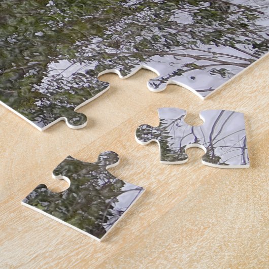 Puzzle Central Park (Côté)