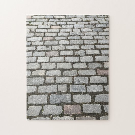 Puzzle Central Park Cobblestones Stone Pathway NYC Photo (Vertical)