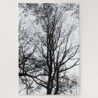 Puzzle Central Park fin automne presque Barren Tree B&W