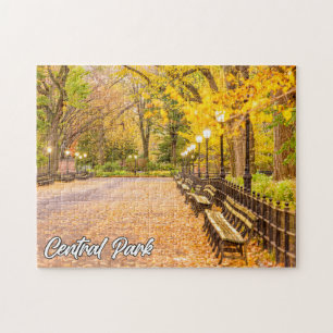 Puzzle Central Park, Manhattan, New York, États-Unis