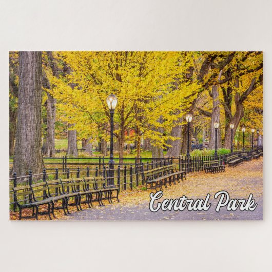Puzzle Central Park, Manhattan, New York, USA (Horizontal)