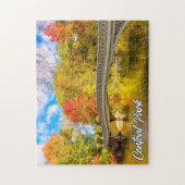 Puzzle Central Park, Manhattan, New York, USA (Vertical)